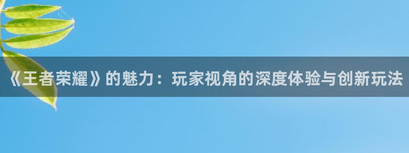 奇亿娱乐2登录：《王者荣耀》的魅力：玩家视角的深度体验与创新
