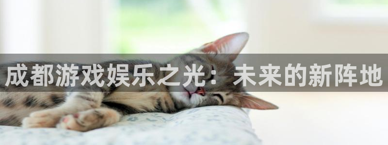奇亿娱乐集团：成都游戏娱乐之光：未来的新阵地