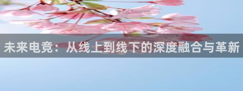 奇亿娱乐平台登录线路：未来电竞：从线上到线下的深度融合与革新