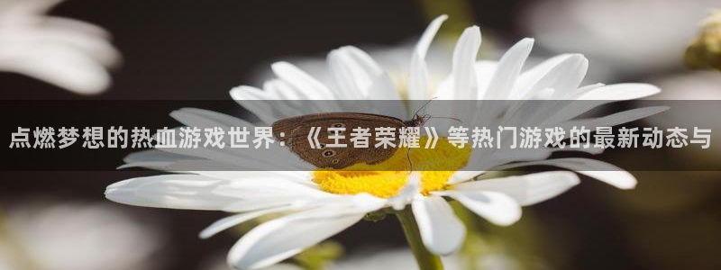 奇亿娱乐线路测试：点燃梦想的热血游戏世界：《王者荣耀》等热门