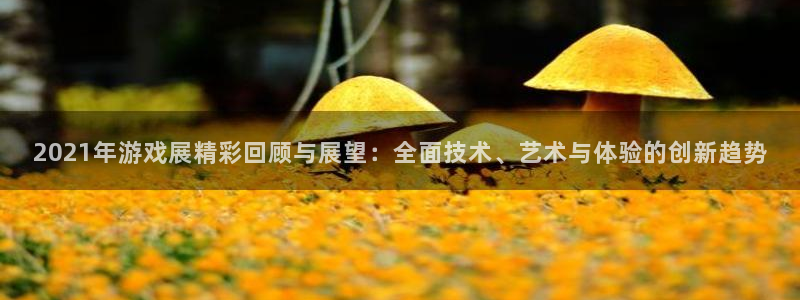 奇亿娱乐4开户：2021年游戏展精彩回顾与展望：全面技术、艺