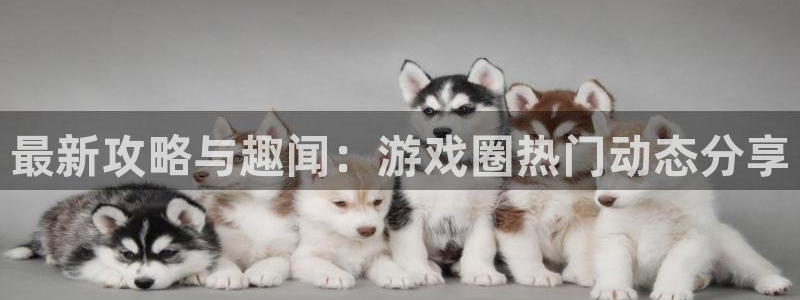 奇亿娱乐科技：最新攻略与趣闻：游戏圈热门动态分享