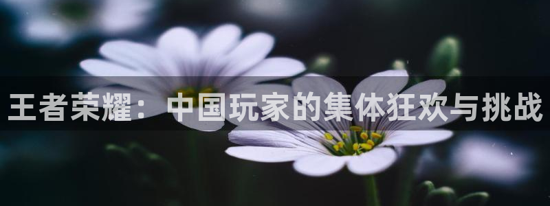 手机奇亿娱乐下载安装：王者荣耀：中国玩家的集体狂欢与挑战