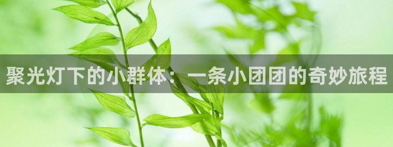jrs直播低调看直播nba直播 龙门直播：聚光灯下的小群体：一条小团团的奇妙旅程