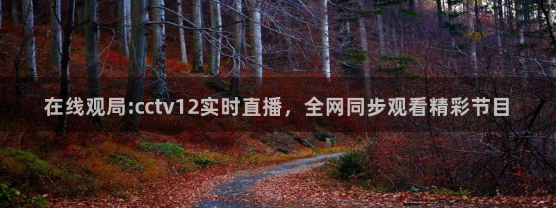 龙门体育直播在线观看：在线观局:cctv12实时直播，全网同步观看精彩节目