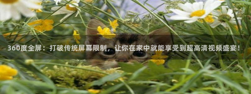 龙门飞甲超清在线播放：360度全屏：打破传统屏幕限制，让你在家中就能享受到超高清视频盛宴！