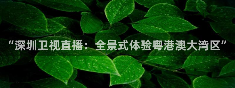 龙门免费直播：“深圳卫视直播：全景式体验粤港澳大湾区”